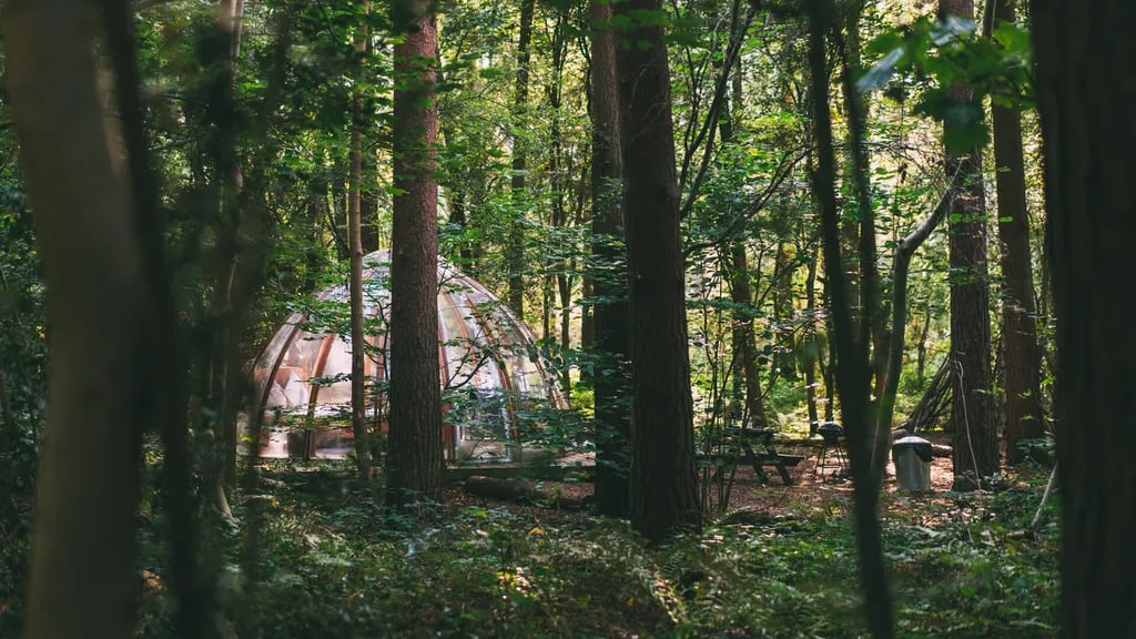 Camp Katur gallery 2