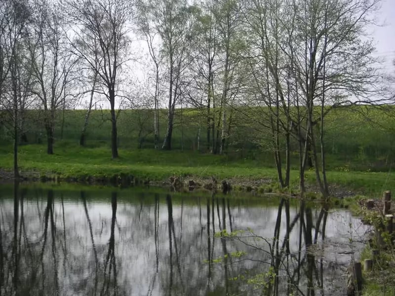 Naturbad Niederwiesa gallery 1