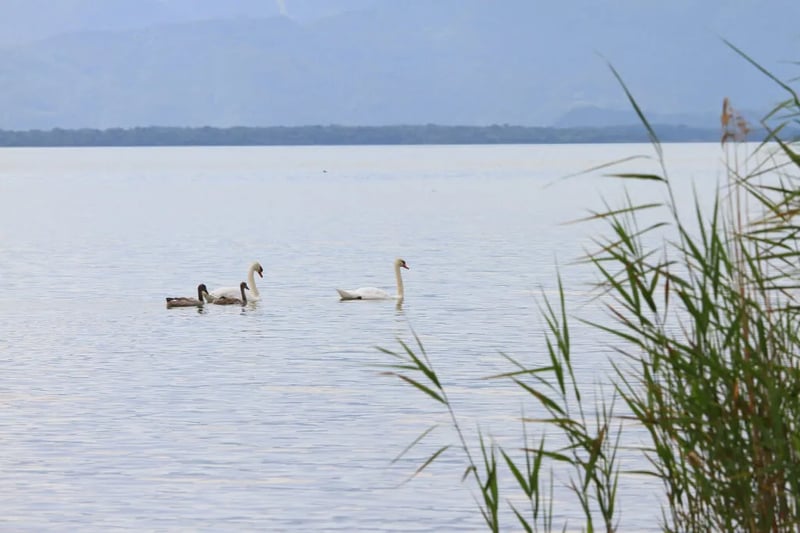Chiemsee Camping Lambach, am Chiemsee gallery 1