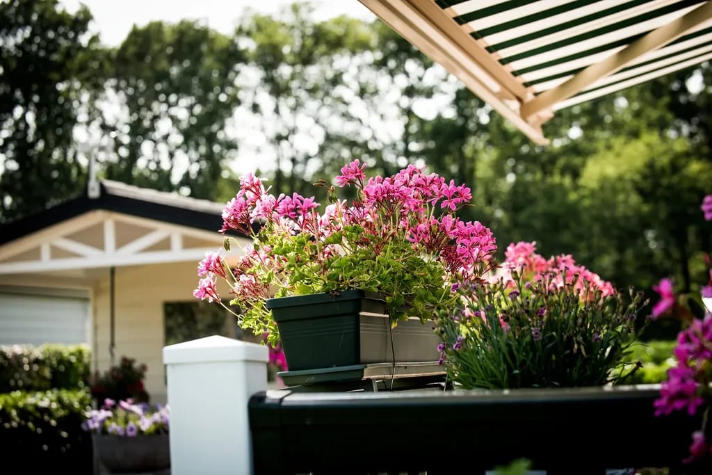 Camping Marisheem gallery 1