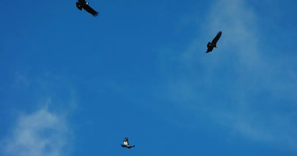 Camping El Bronce gallery 2