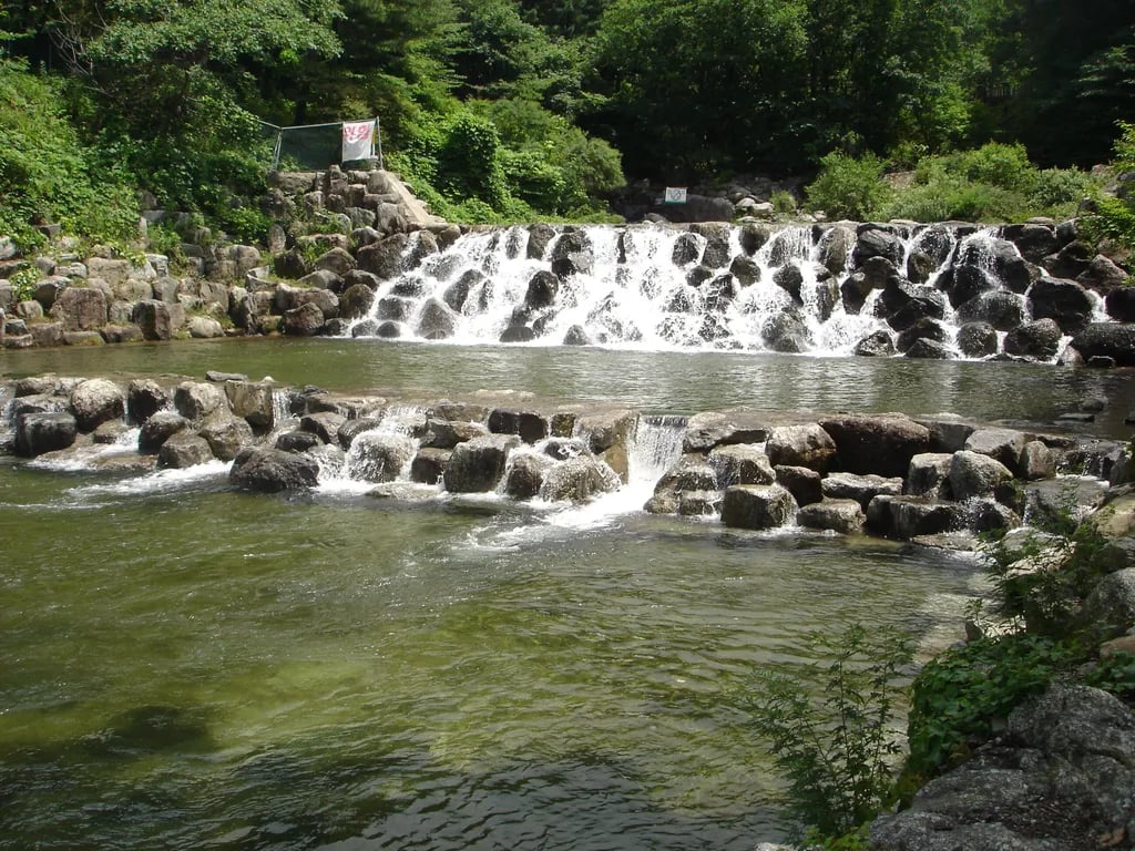 Chungnyungsan Natural Recreation Forest