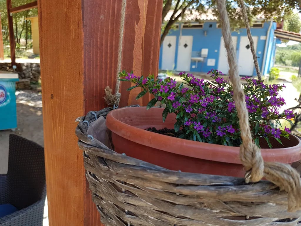 Val Vidal Camping gallery 2