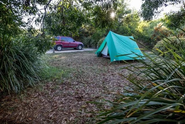 The Settlement camping area, Springbrook National Park