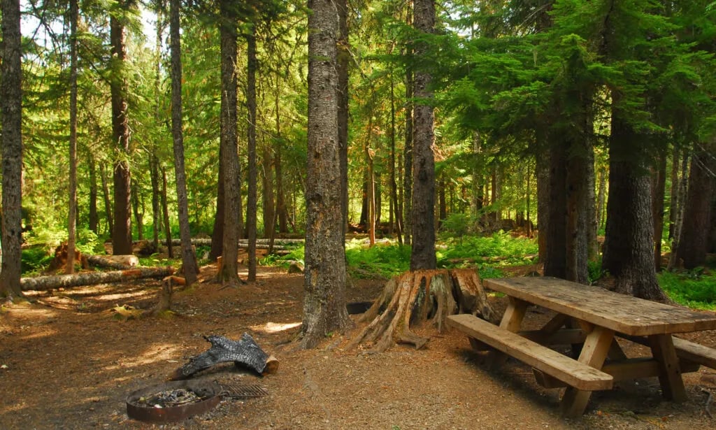 Quemahoning Family Recreation Area