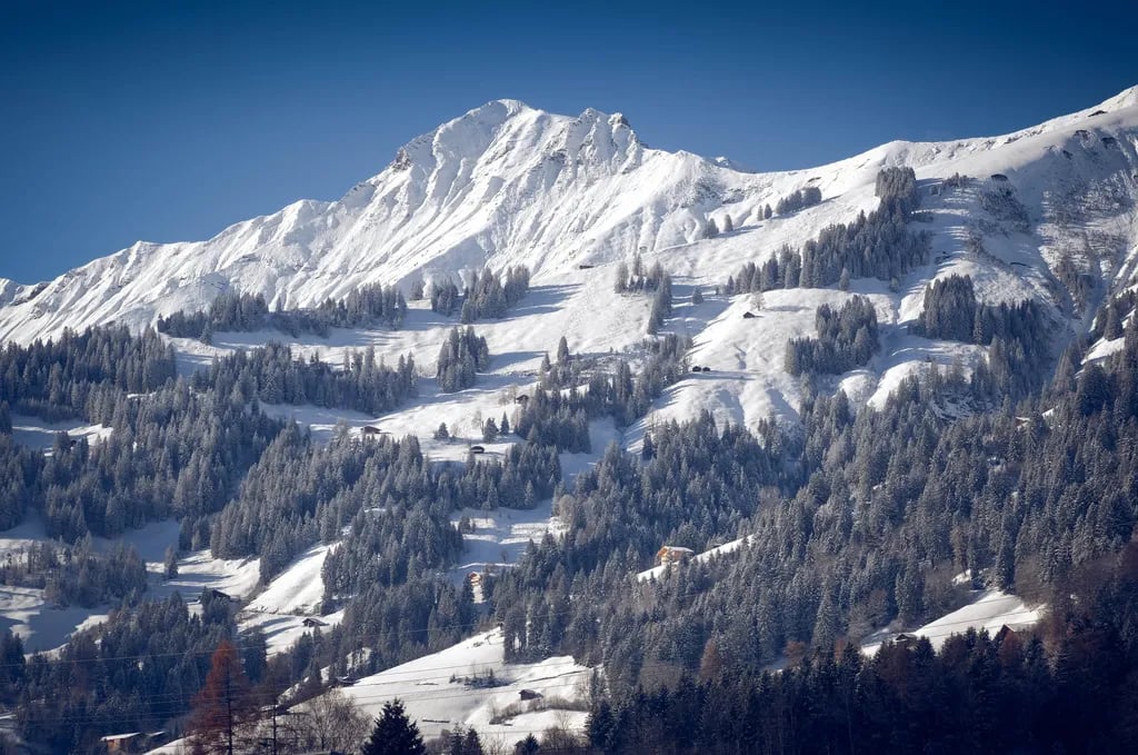 Frutigresort gallery 3