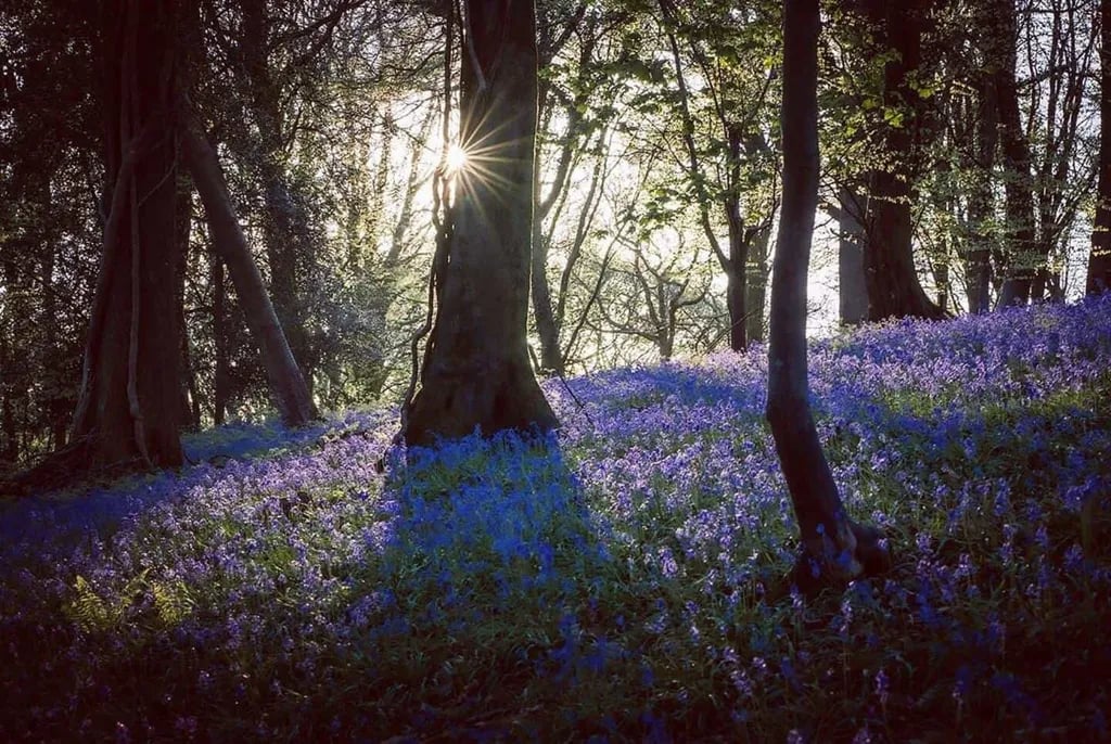 Greenway Farm Caravan and Camping Park