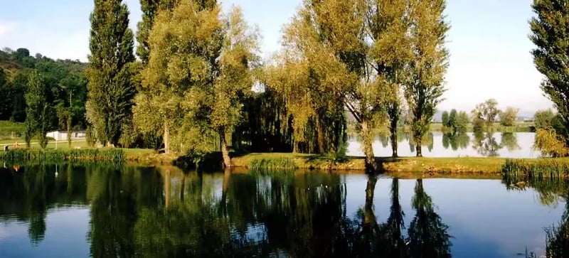 Camping Les Etangs du Parc gallery 1