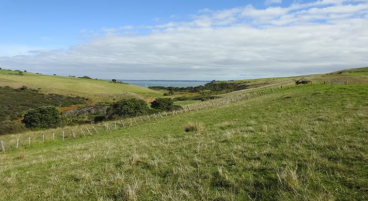 Te Haruhi Bay Campground