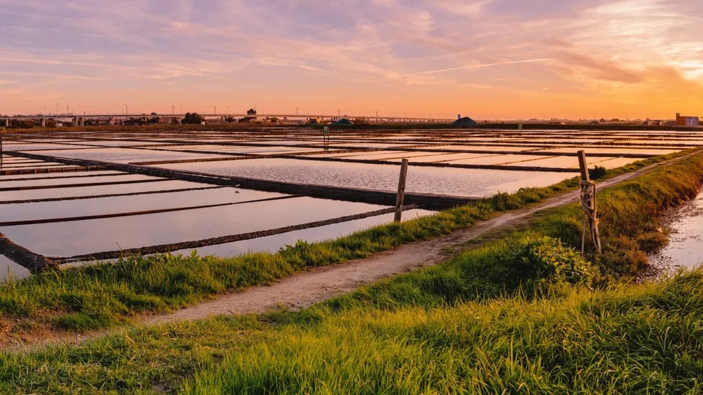 Camping l’Evasion gallery 3