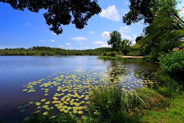 Aurilandes TOHAPI gallery 3