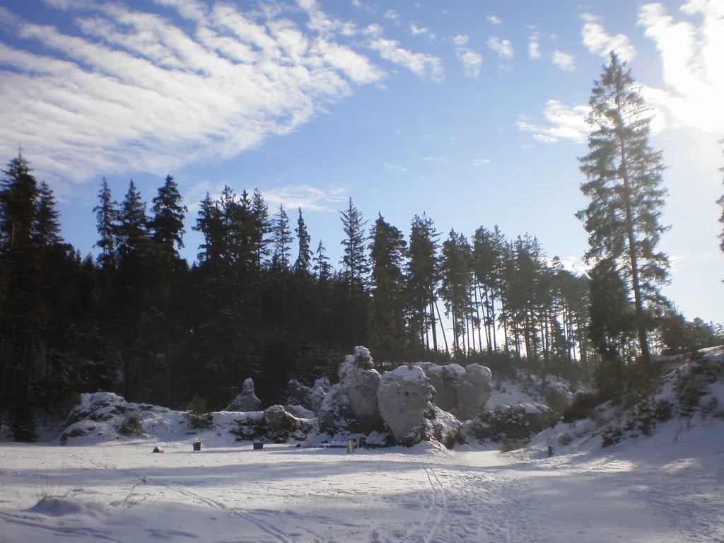 Campingplatz  Amalienhof gallery 2