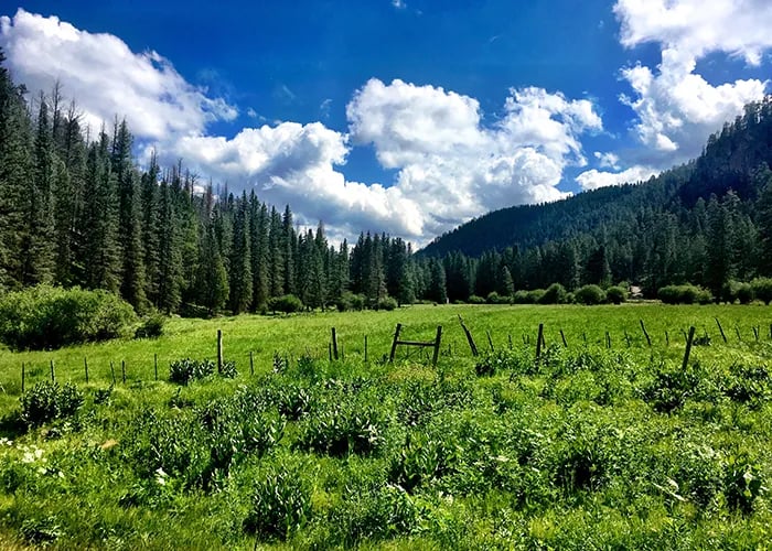 Fenton Lake State Park — Fenton Lake Fishing Area (and Dam) gallery 2