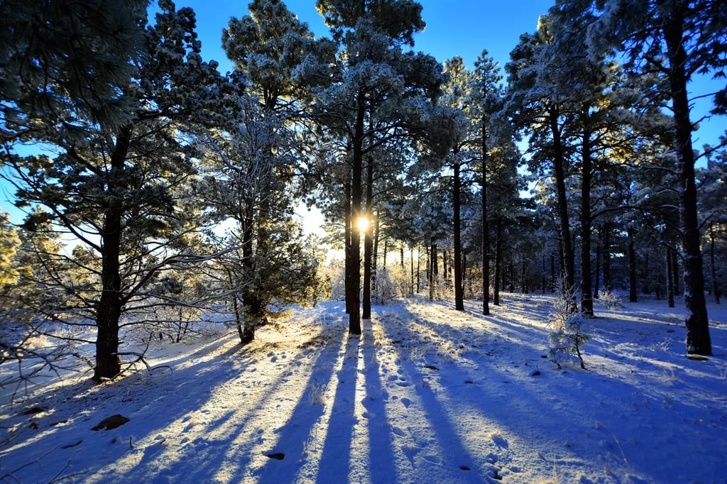 Manzano Mountains State Park Campground