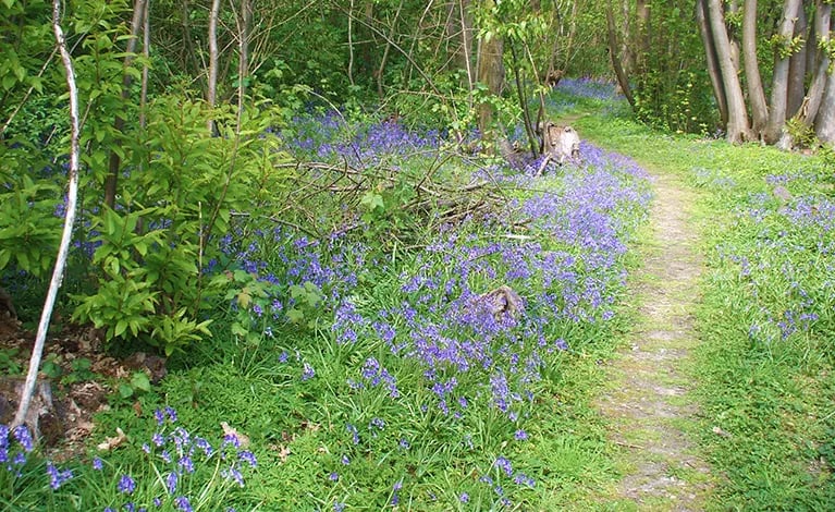 The Naturist Foundation gallery 3