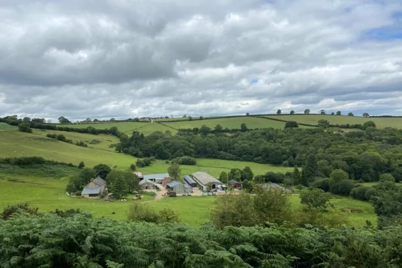 Wytch Wood Camping gallery 2