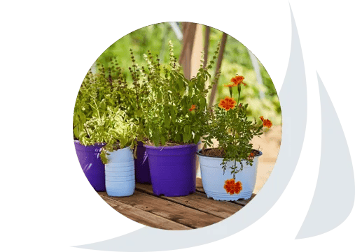 Camping Naturiste Centre Hélio Marin Rene Oltra gallery 3