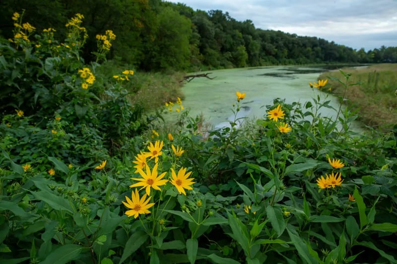 Dead Timber State Rec Area gallery 1