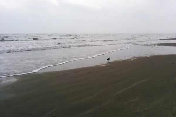 On The Beach RV Park gallery 3