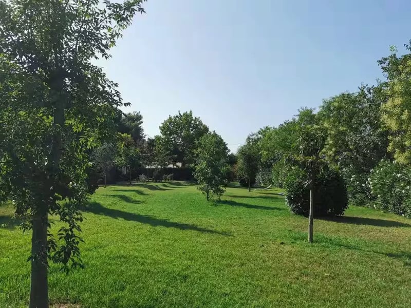 Agricampeggio Tognoni gallery 3
