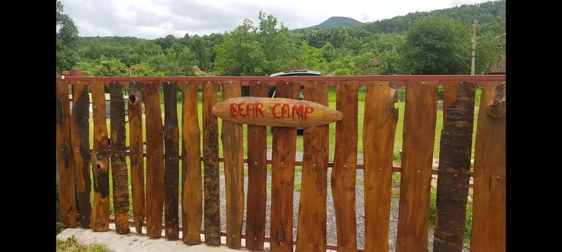 BearCamp gallery 3
