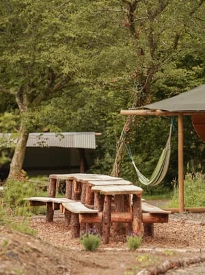 Dragonfly Camping gallery 3
