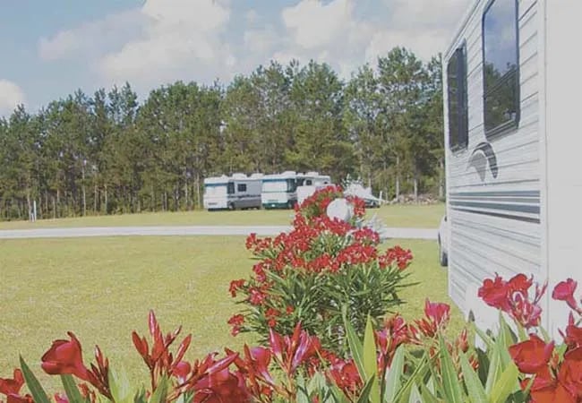 Escapees Rainbow Plantation RV Park - CamplinQ