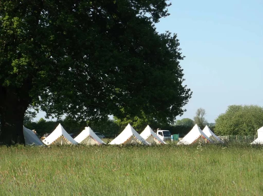 Rookery Meadow gallery 1