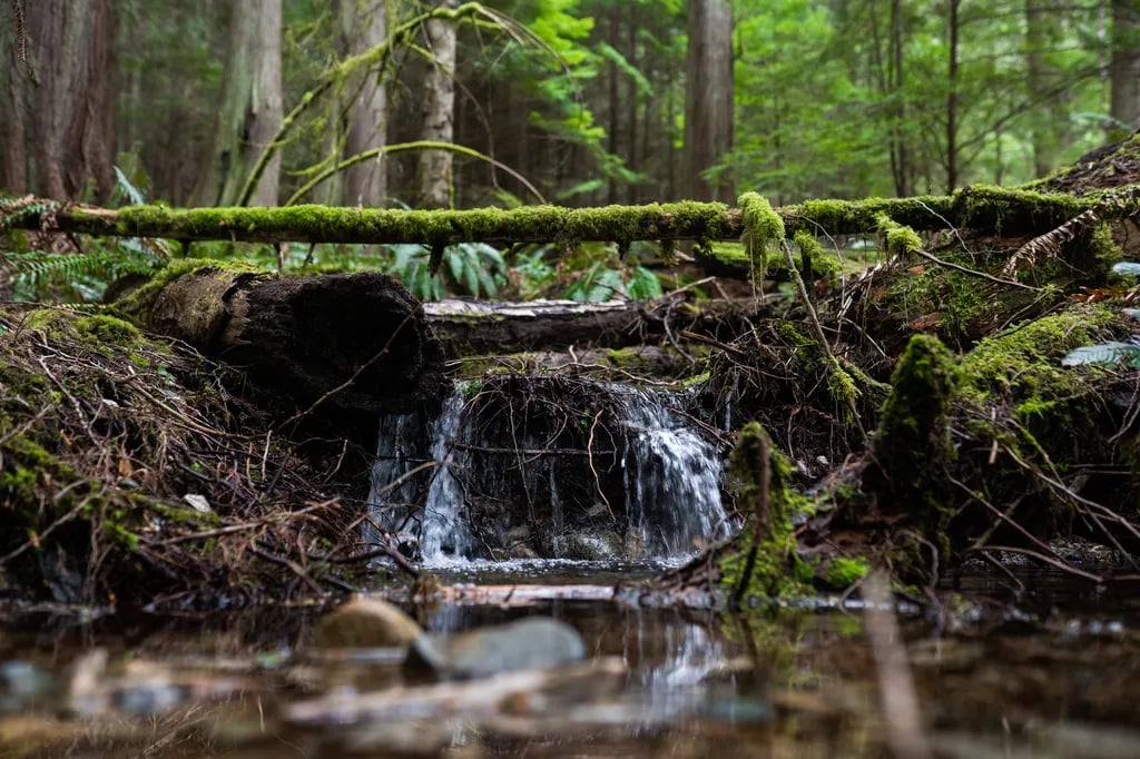 Moon Gate Farms gallery 2