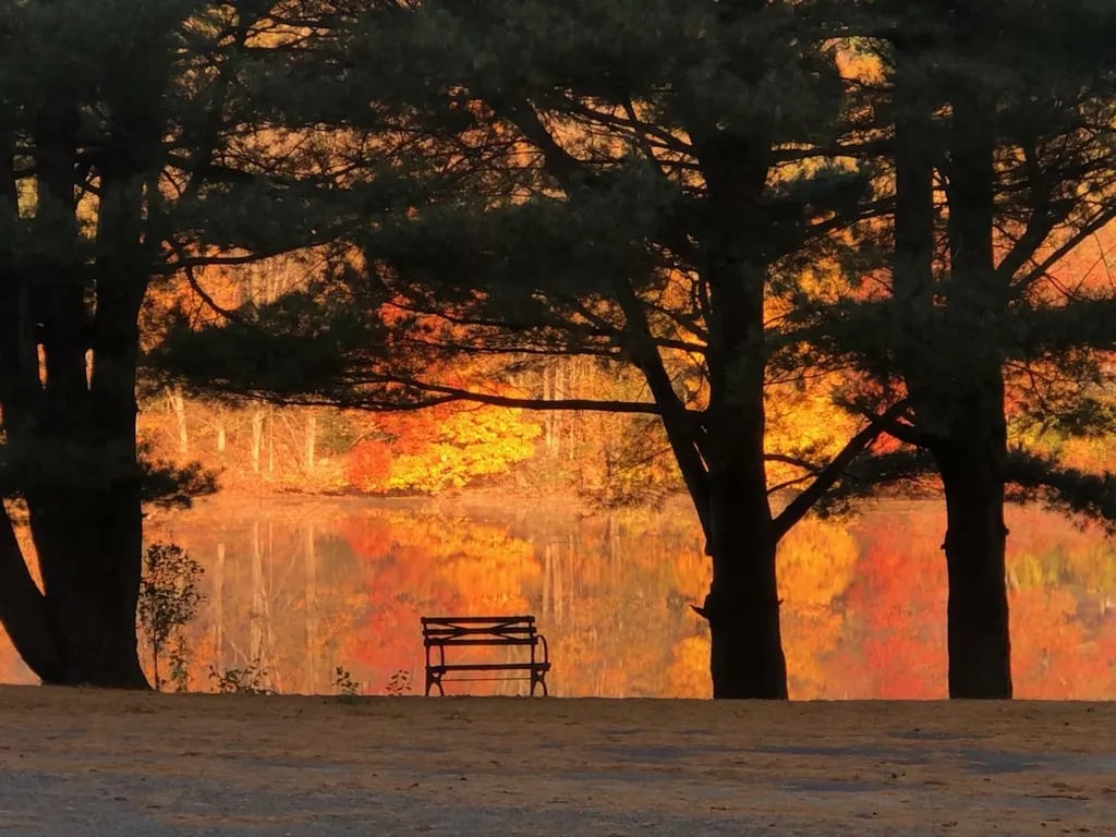 Odetah Camping Resort