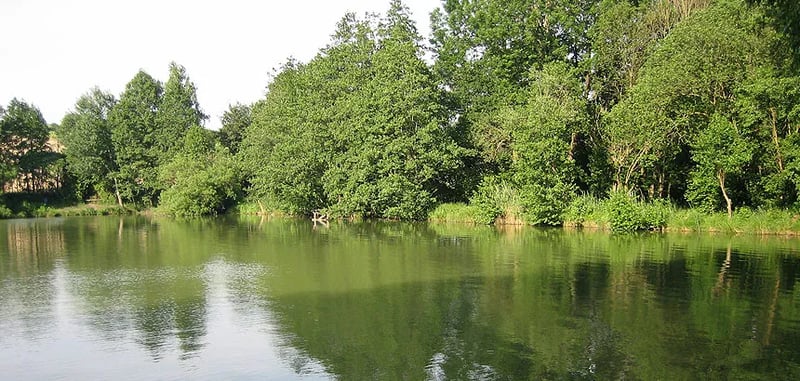 Freizeit-Camping Lain am See Betriebs GmbH gallery 1