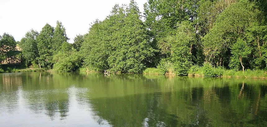 Freizeit-Camping Lain am See Betriebs GmbH gallery 1