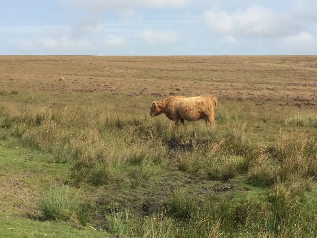 Blackcock Caravan and Camping gallery 1