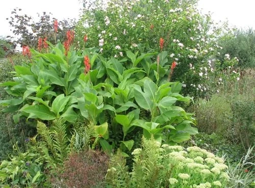 Camping La Ferme de Mayocq gallery 2