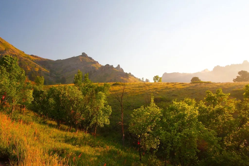 Black Hills Vista RV Park gallery 2