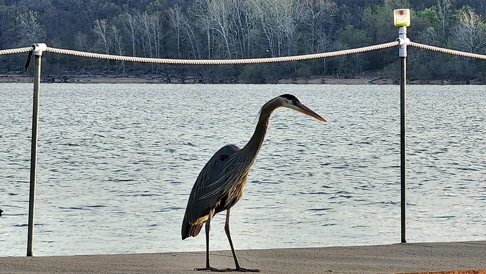 Lee’s Grand Lake Resort