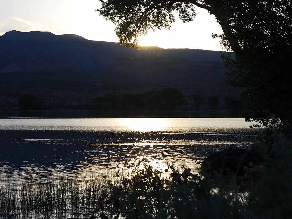 Picketts RV Park gallery 2