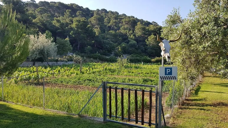 Camping Village San Michele gallery 3