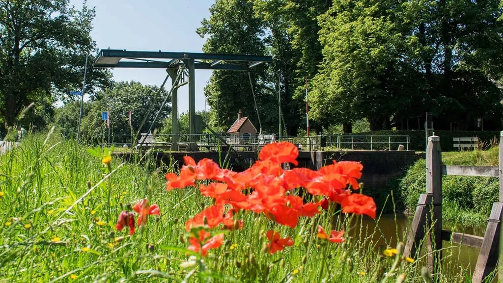 Molecaten Park De Leemkule