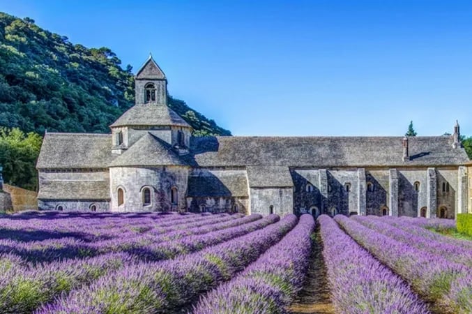 Parc des Monges gallery 1