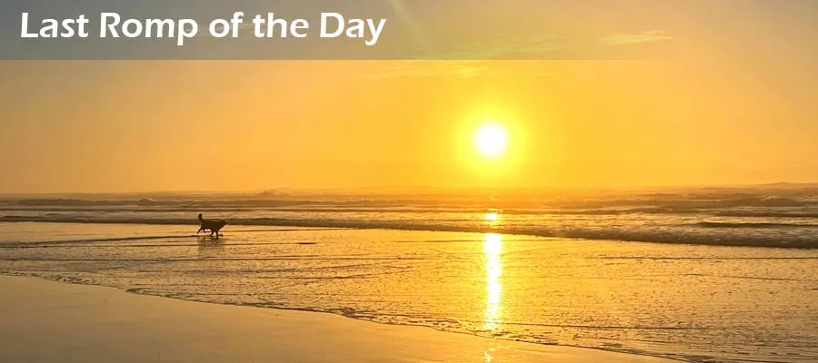 Seal Rocks RV Cove gallery 3