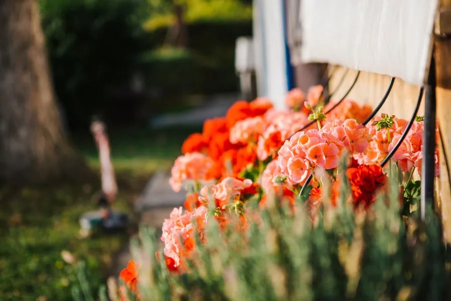 Rhein Camping Waldshut gallery 2