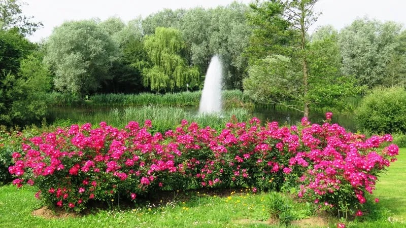 Camping Bon Accueil gallery 2