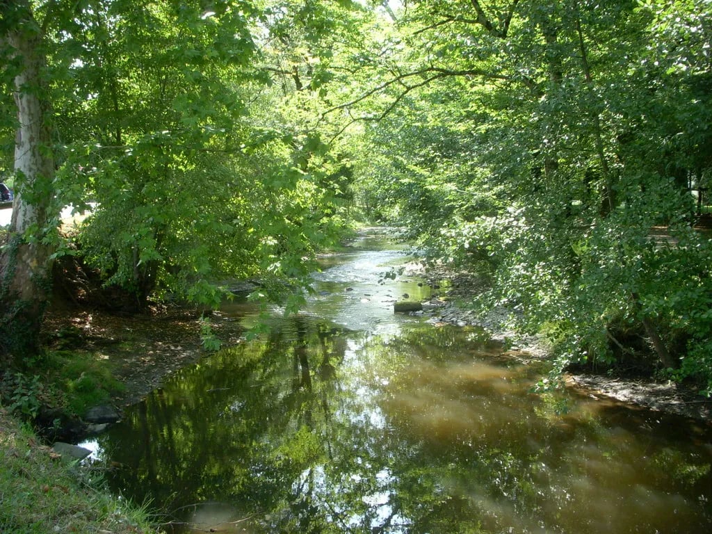 Camping Municipal La Riviere gallery 1