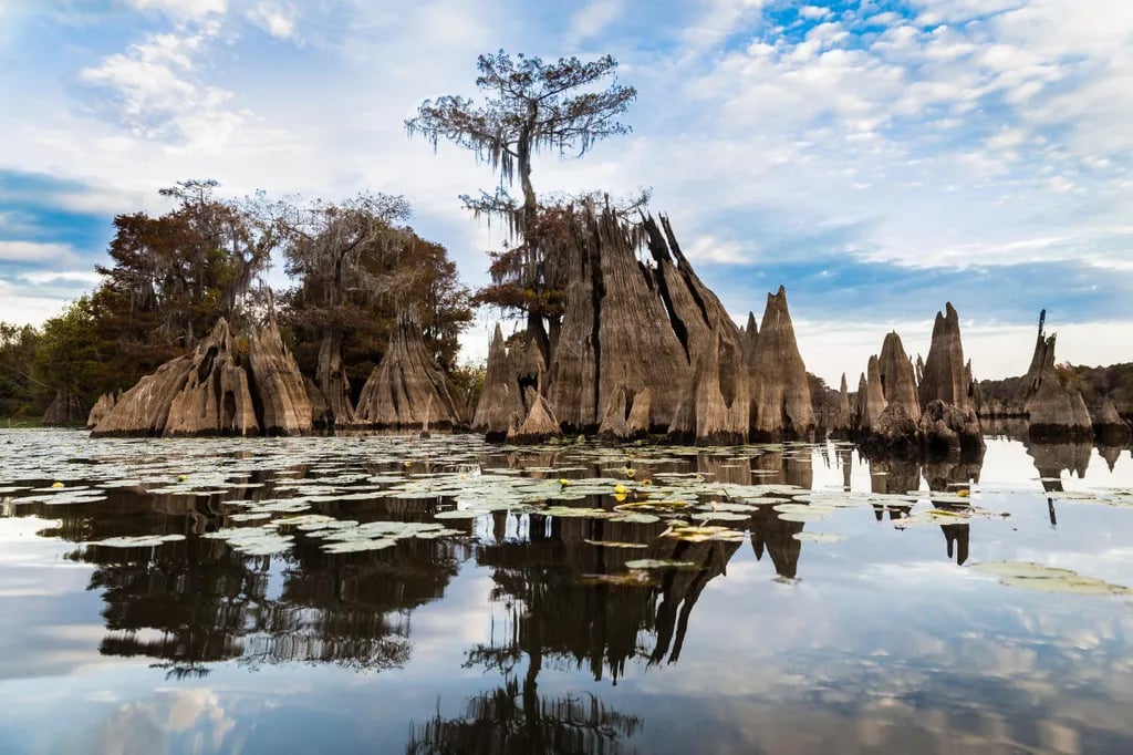 Split Rock Park gallery 1