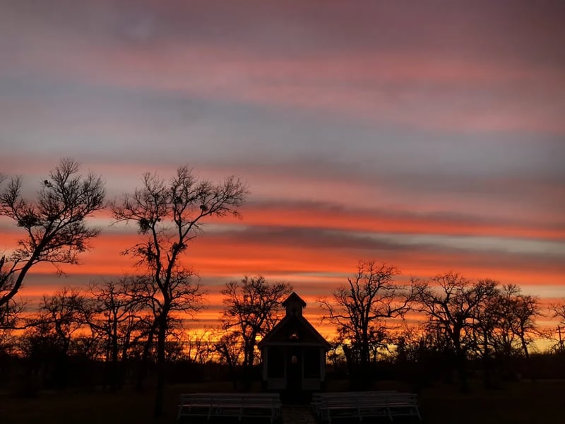 Tiny T Ranch