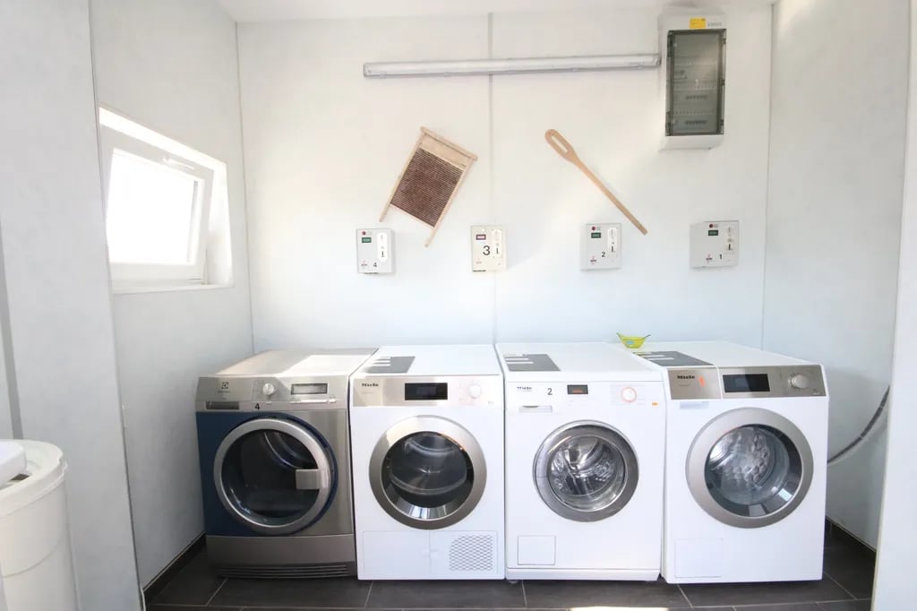 Rosen-Camp Kniese gallery 2