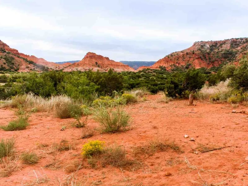 North Prong Primitive Campsite Camping Area — Caprock Canyons State Park