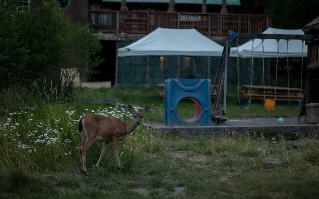 Mill Creek Resort gallery 3