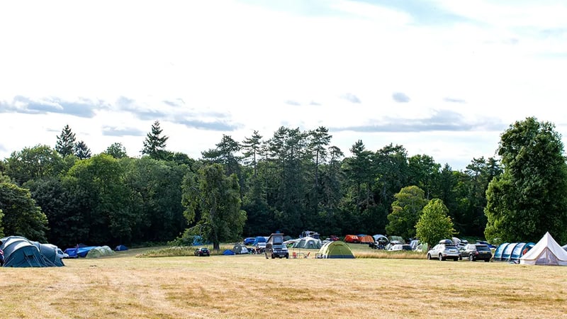 Harry’s Meadow gallery 3